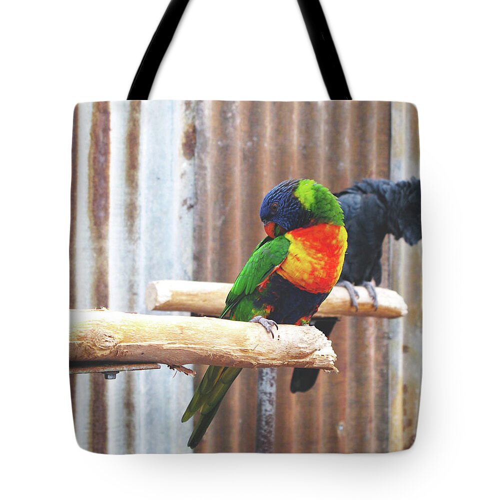 Parrots Tote Bag featuring the photograph Parrots Nodding by Kathy Corday