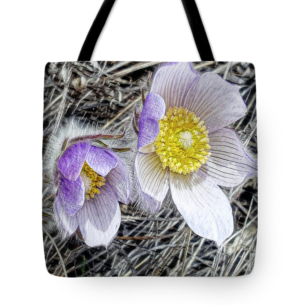 Flowers Tote Bag featuring the digital art Pasque Flower by Rebecca Langen