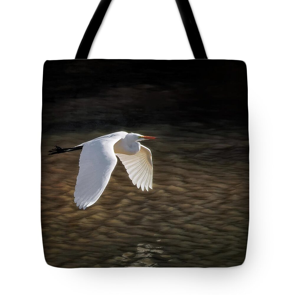 Great Egret Tote Bag featuring the photograph Passing the Darkness by Brent Martin - My Photography Adventure