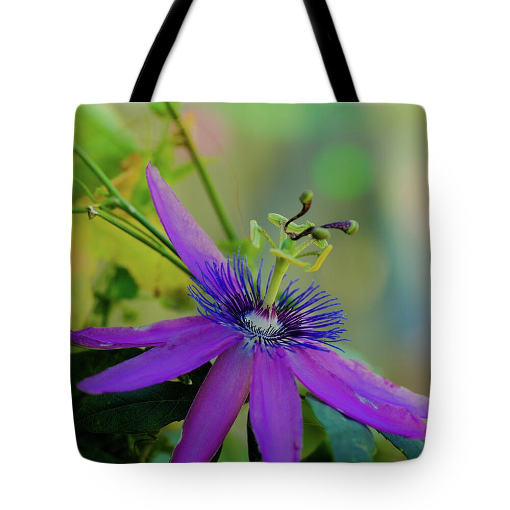 Nature Tote Bag featuring the photograph Passion Dancer by Judy Wright Lott