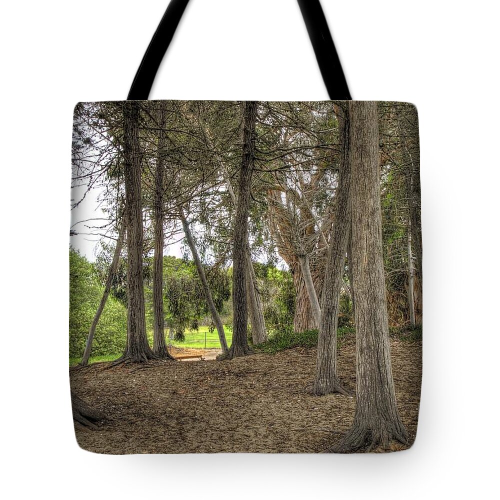 Trees Tote Bag featuring the photograph Past the Beach and Through the Trees by Mathias 