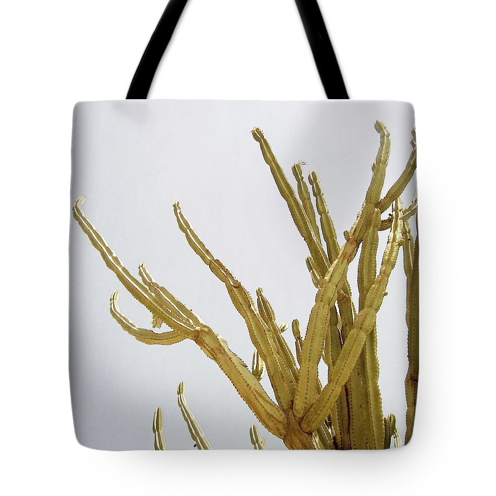 Cactus Tote Bag featuring the mixed media Pastel Cactus- Art by Linda Woods by Linda Woods