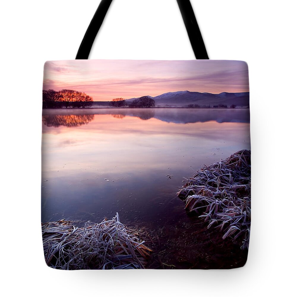 Lake Tote Bag featuring the photograph Pastel Dawn by Michael Dawson