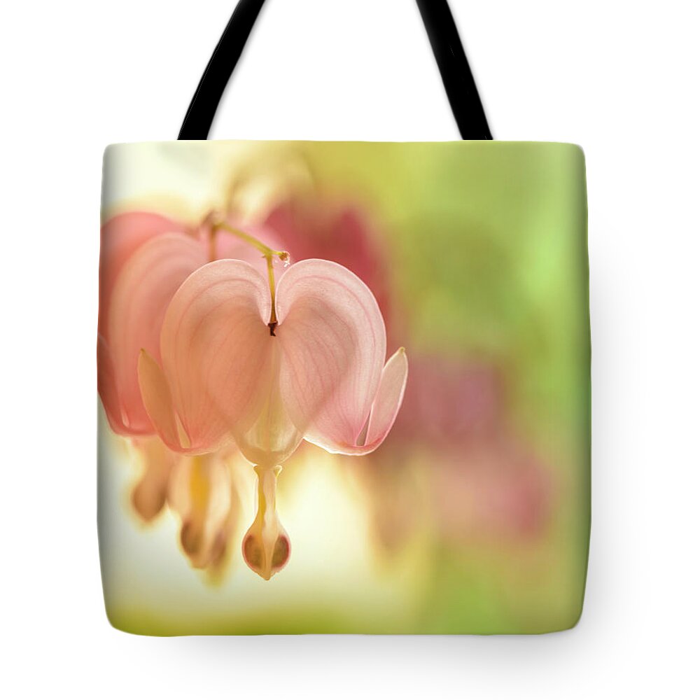 Dicentra Spectabilis Tote Bag featuring the photograph Pastel Heart by Oscar Gutierrez