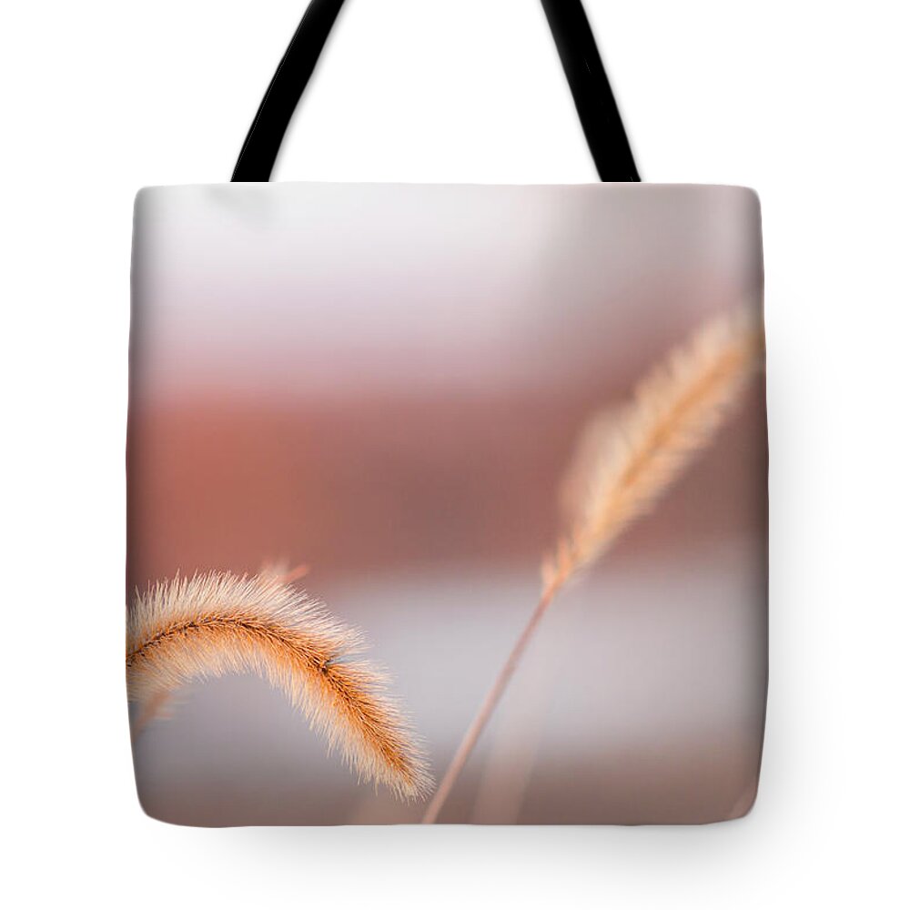 Weeds Tote Bag featuring the photograph Pastel Sunset by Holly Ross