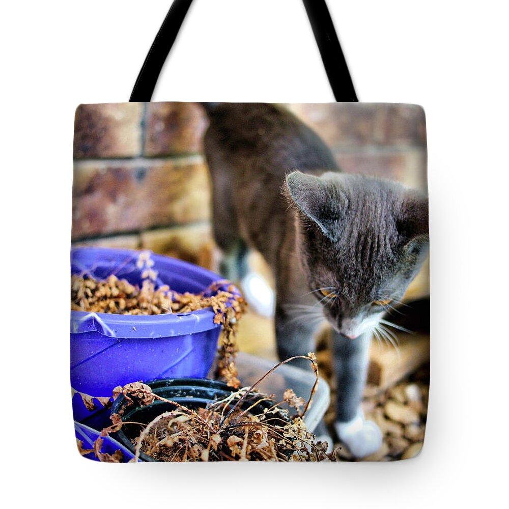 Animals Tote Bag featuring the photograph Patches eplore by Michael Blaine