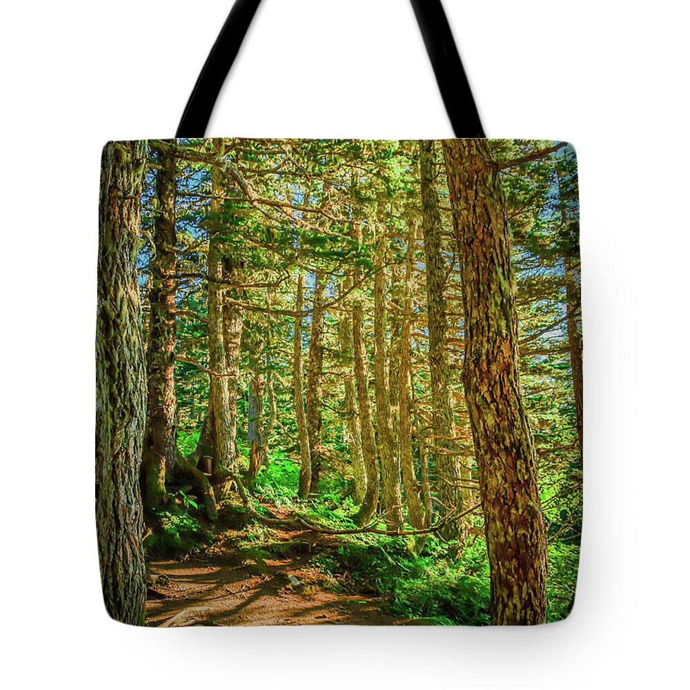 Landscape Tote Bag featuring the photograph Path in the Trees by Jason Brooks