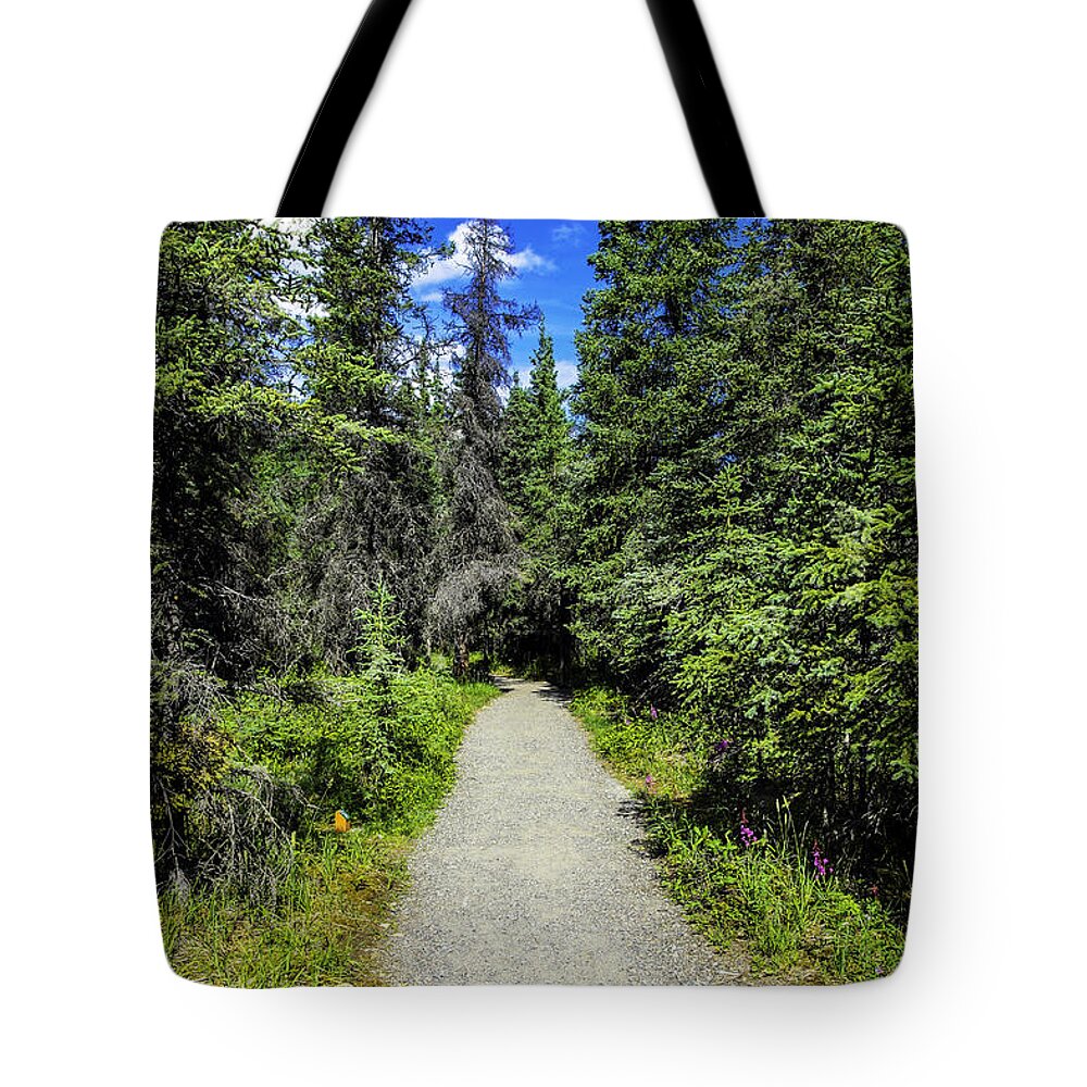 Landscape Tote Bag featuring the photograph Path by Madeline Ellis