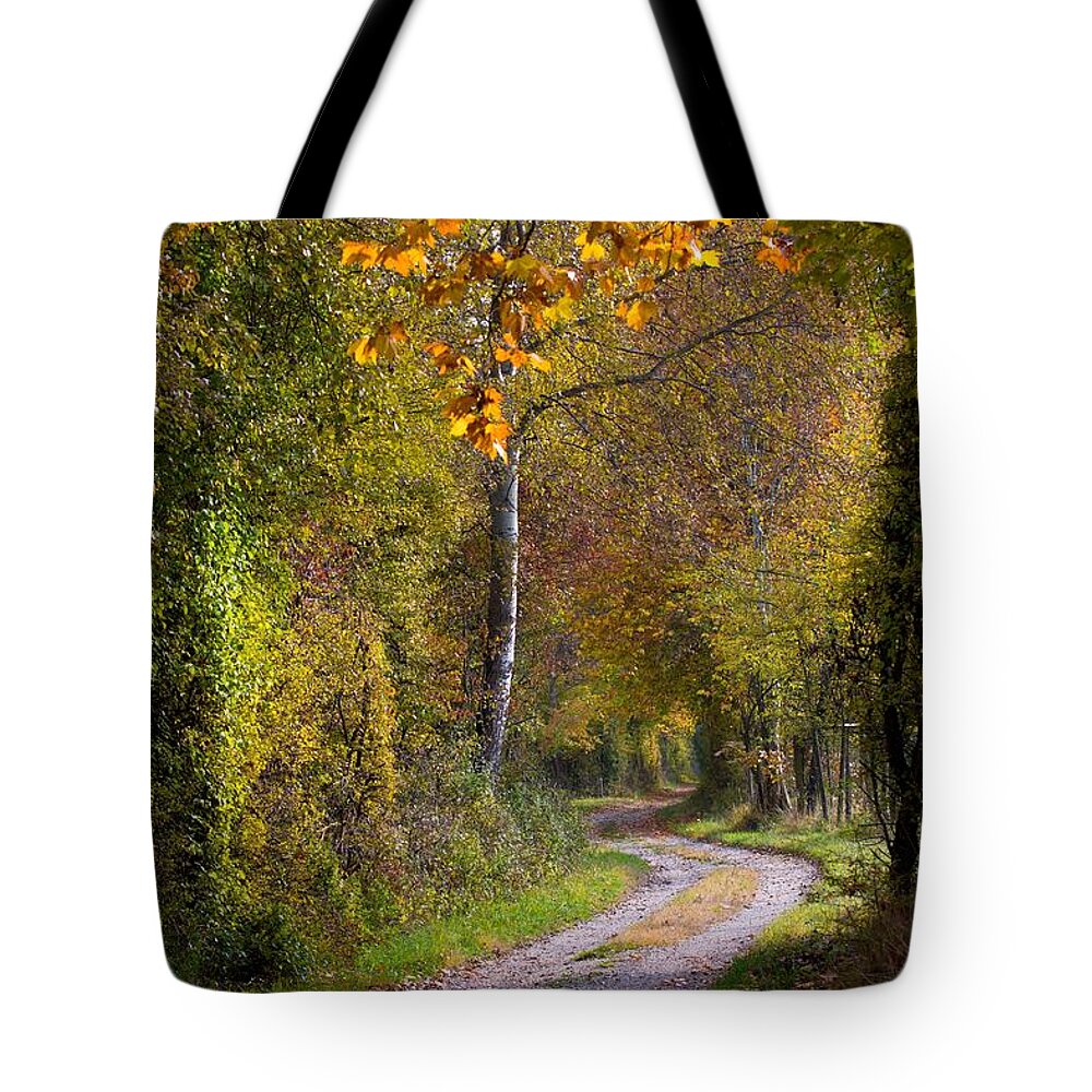 Autumn Tote Bag featuring the photograph Path Through Autumn Forest by Andreas Berthold
