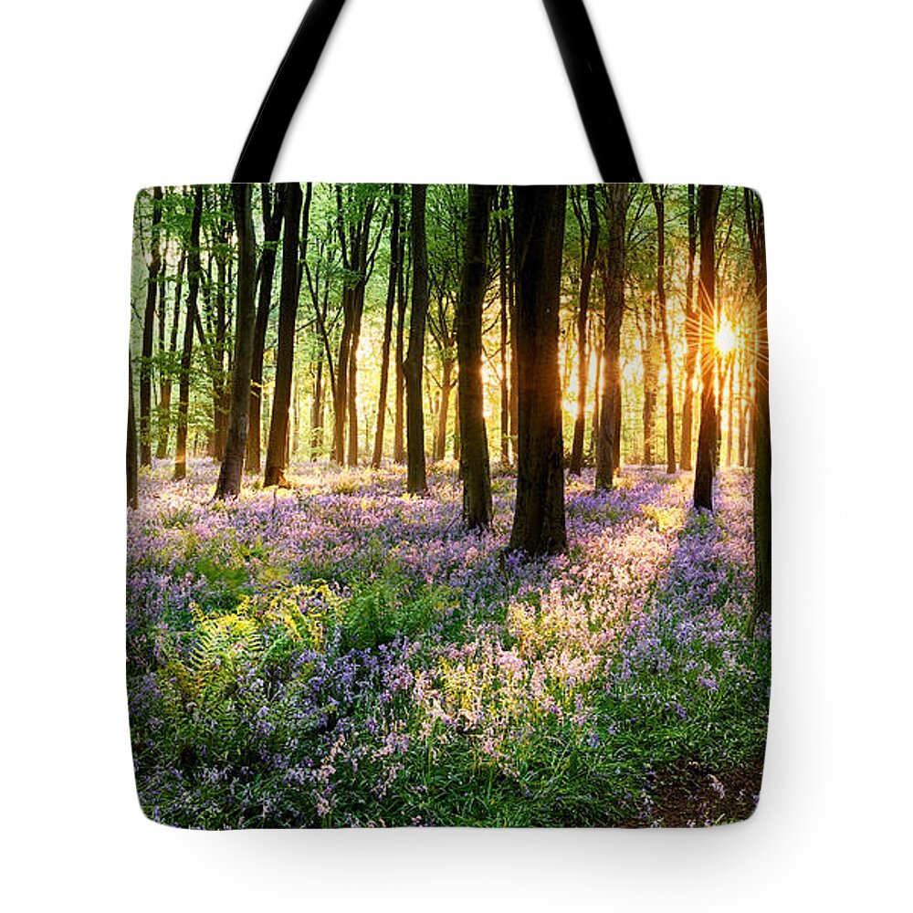 Flower Tote Bag featuring the photograph English bluebell woodland path by Simon Bratt