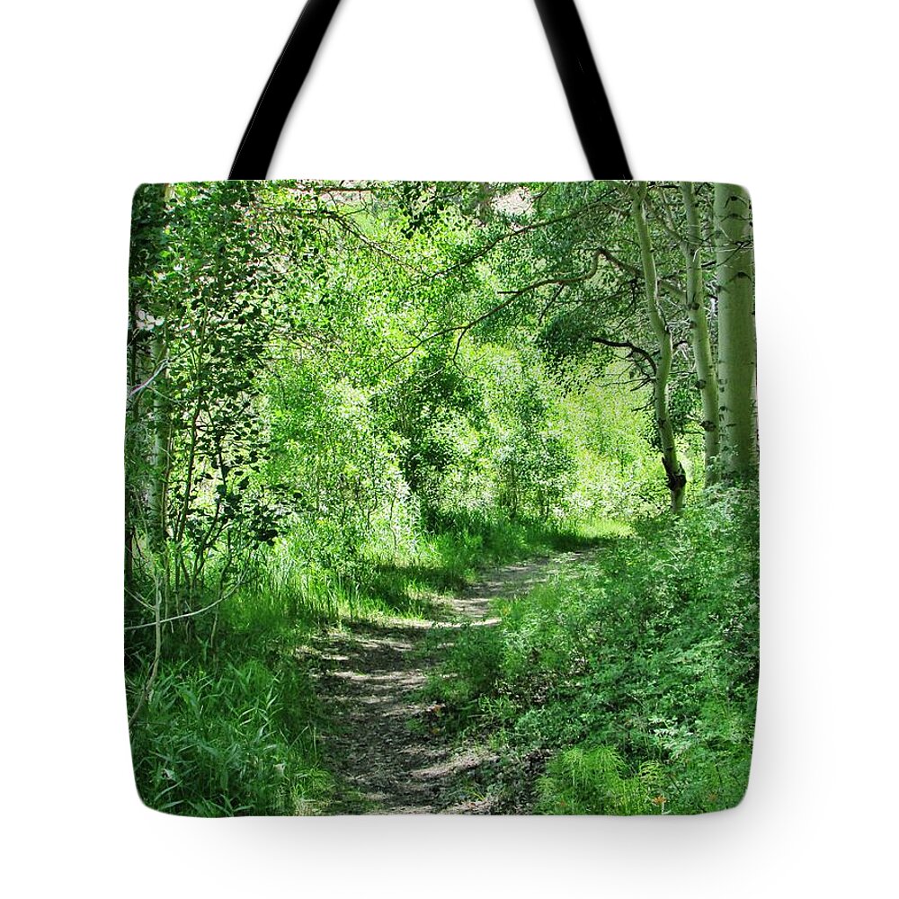 Nature Tote Bag featuring the photograph Pathway by Marilyn Diaz