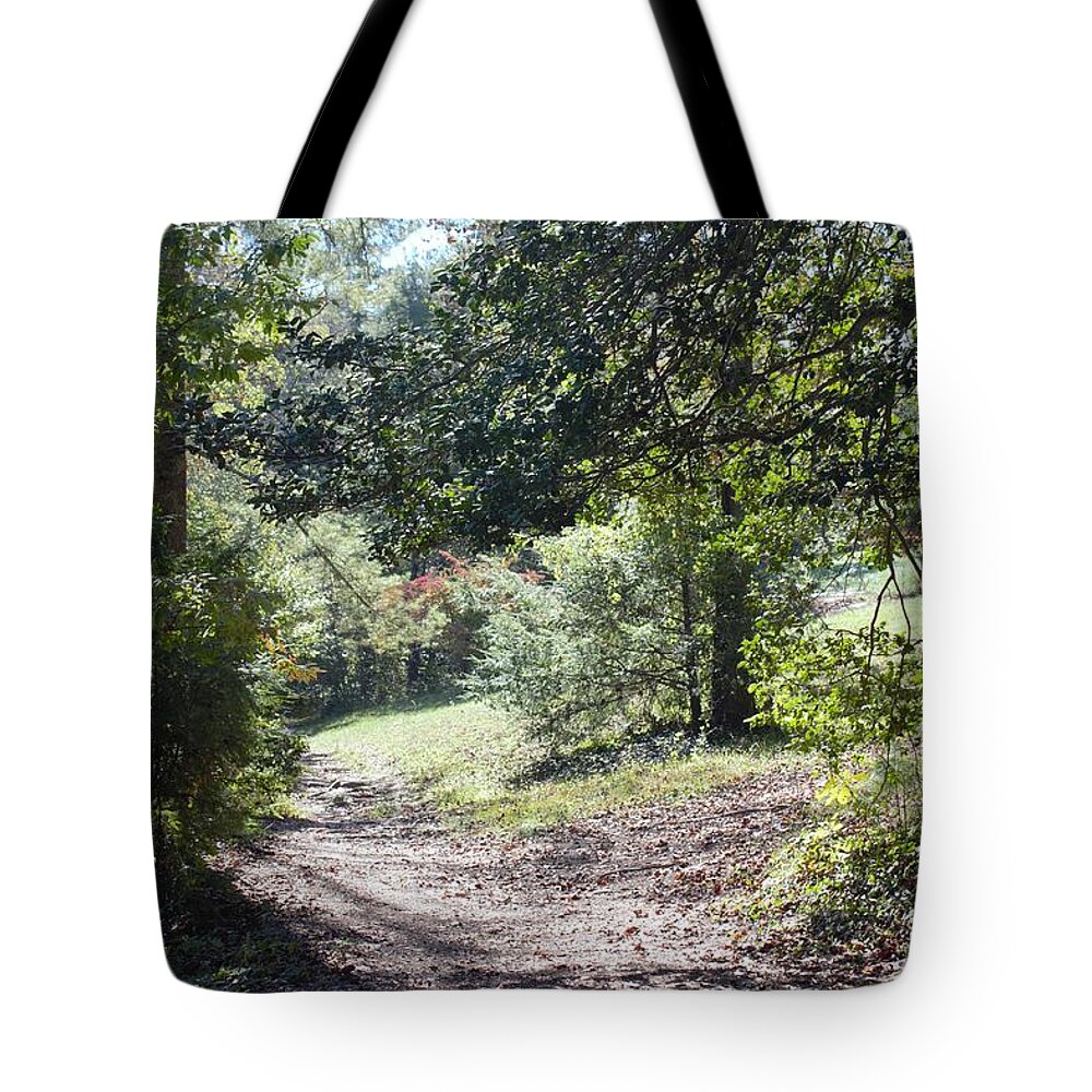 Trees Tote Bag featuring the photograph Pathway to Autumn by Ali Baucom