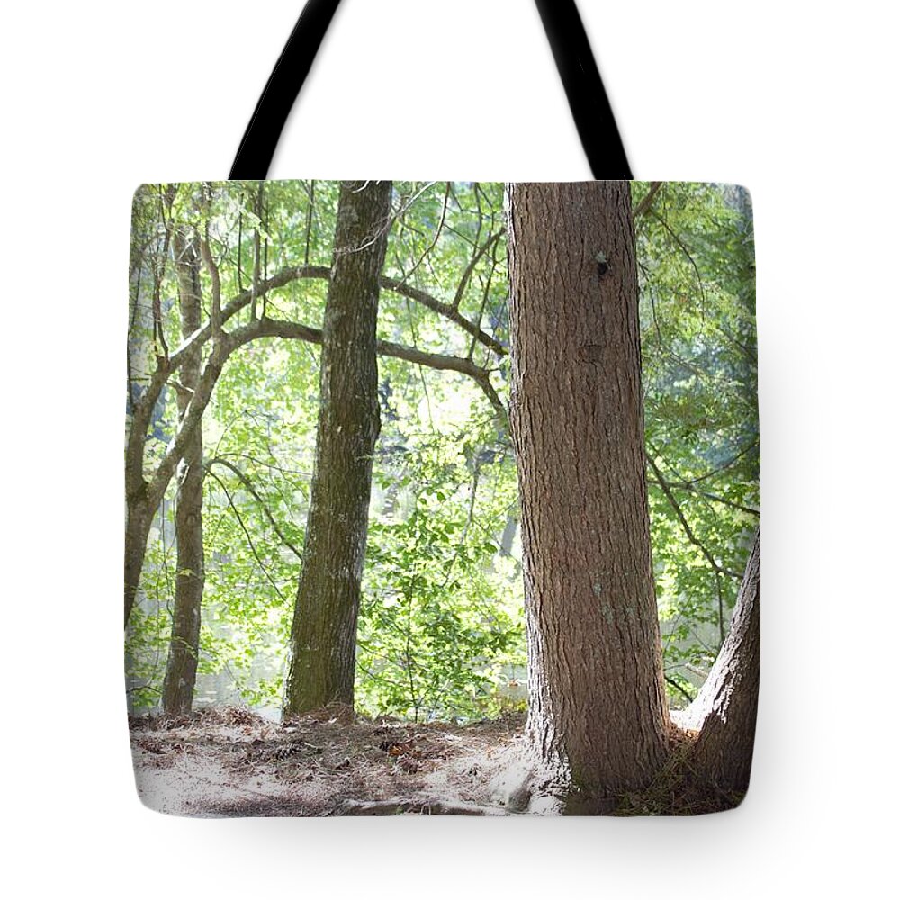 Trees Tote Bag featuring the photograph Peace by Ali Baucom