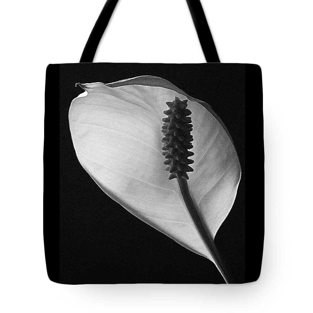 Flower Tote Bag featuring the photograph Peace Lily by Lori Seaman
