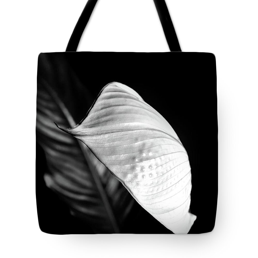 Peace Lily Tote Bag featuring the photograph Peace Lily Minimalism in Black and White by Nadalyn Larsen