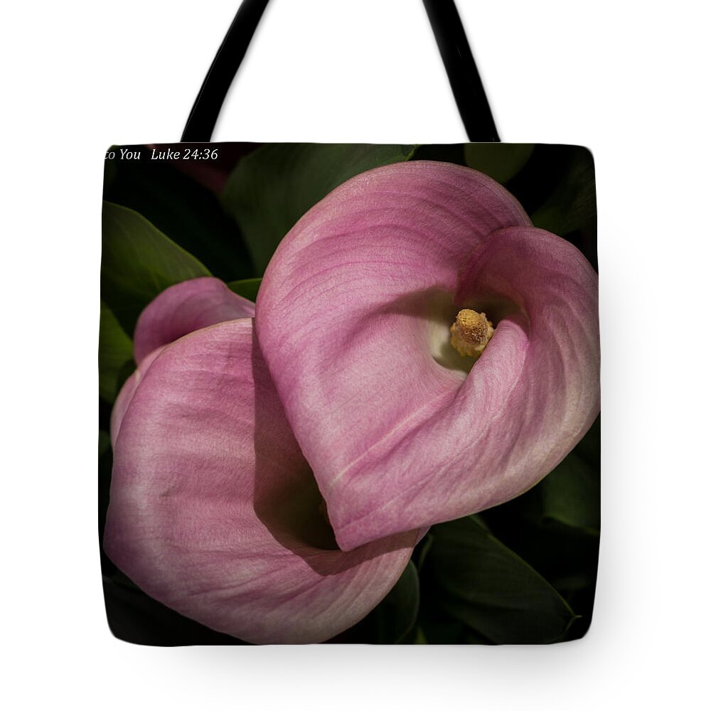 Calla Lily Tote Bag featuring the photograph Peace to You by Kathleen Scanlan