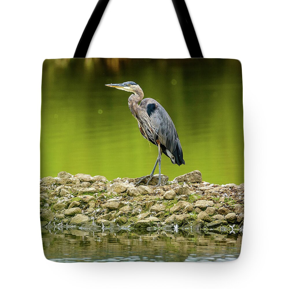 Blue Heron Tote Bag featuring the photograph Peaceful Heron by Jerry Cahill