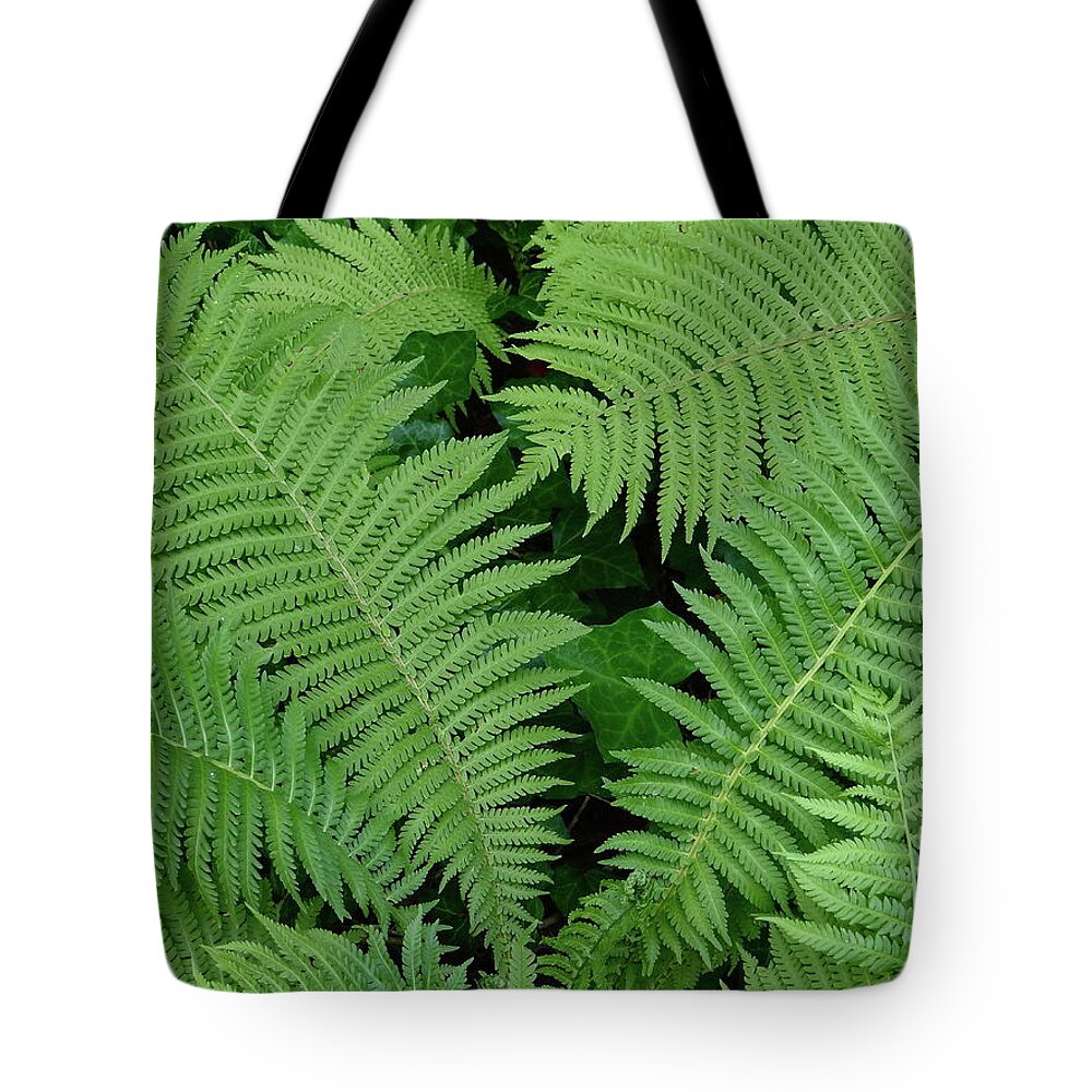 Ferns Tote Bag featuring the photograph Peaceful Places by Ira Shander