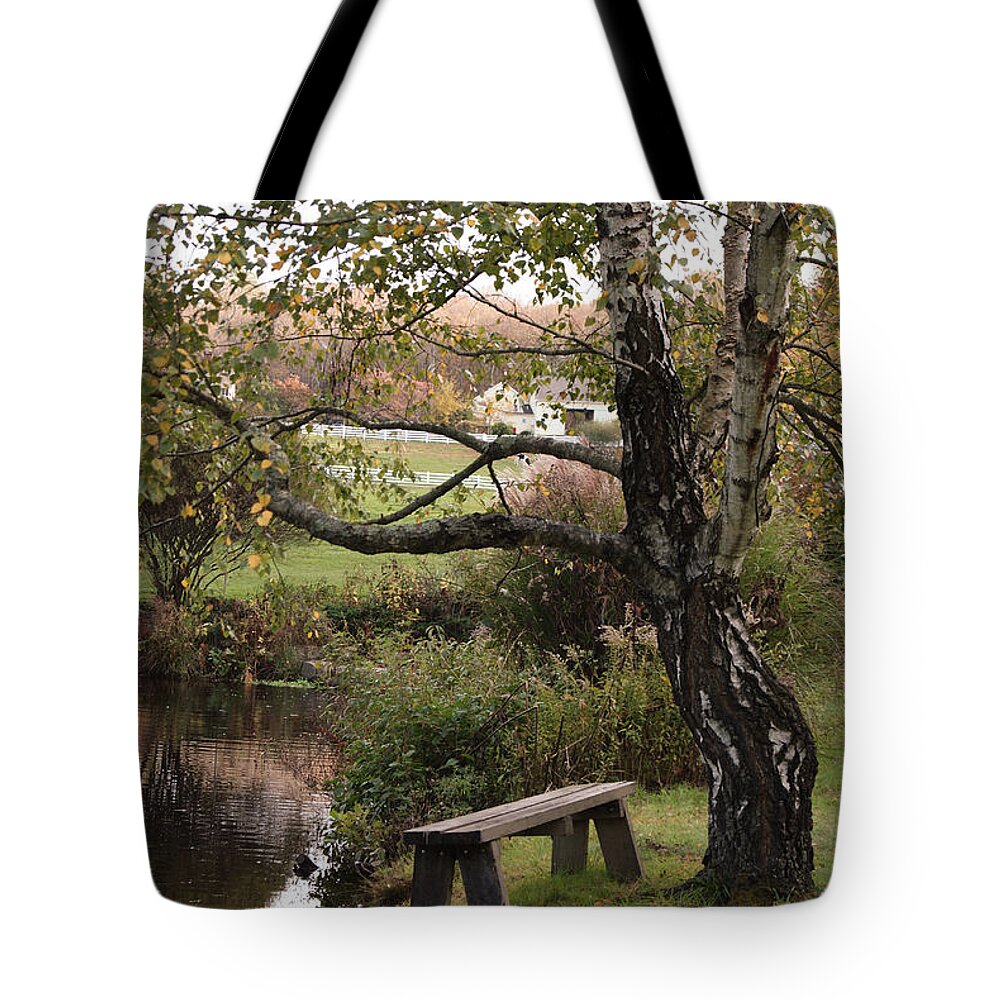 Pond Tote Bag featuring the photograph Peaceful Retreat by Margie Avellino
