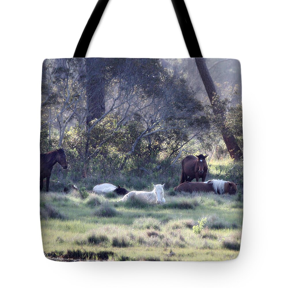 Wild Horse Tote Bag featuring the photograph Peaceful Water 2 by Captain Debbie Ritter