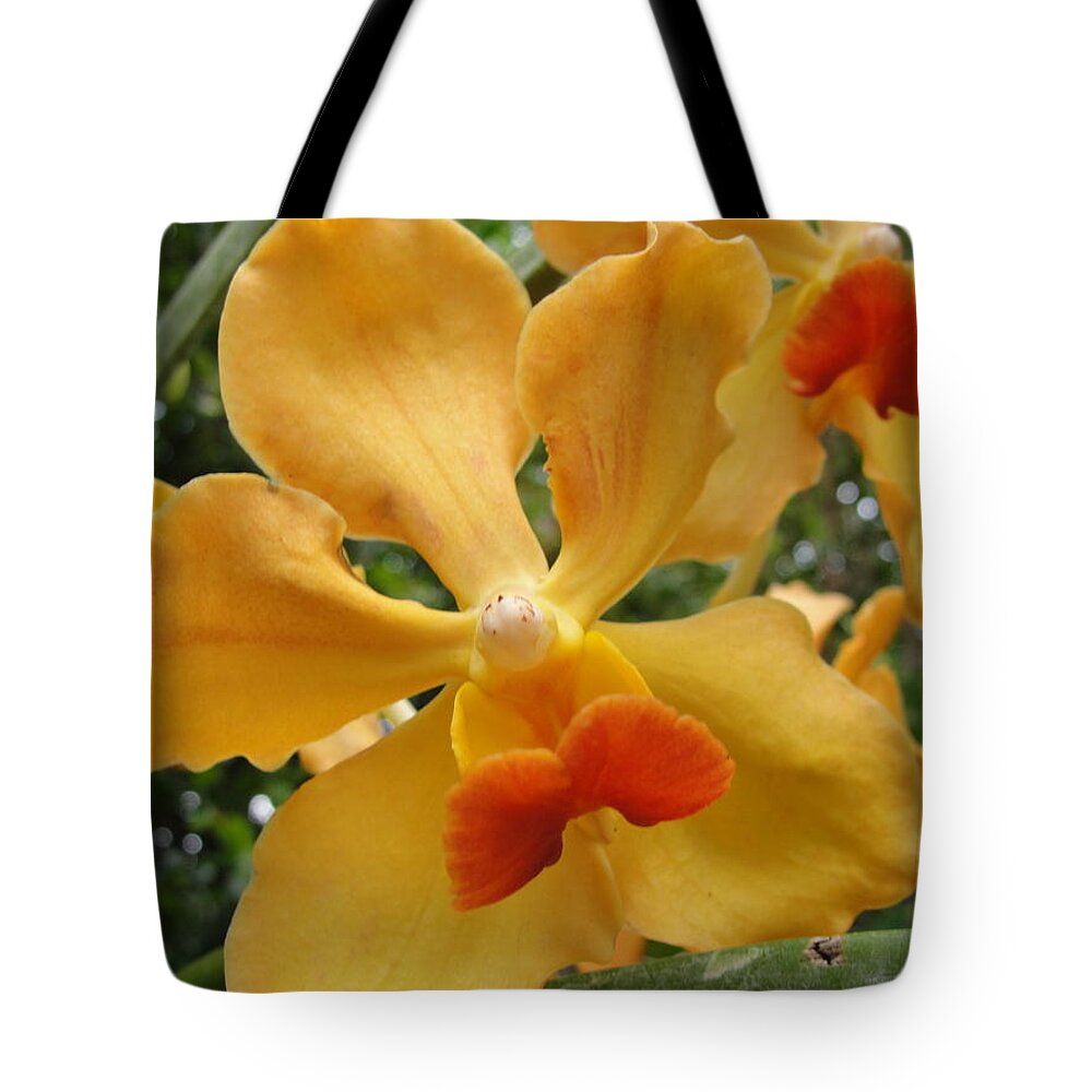 Peach Orchid Tote Bag featuring the photograph Peach Orchid by Susan Nash
