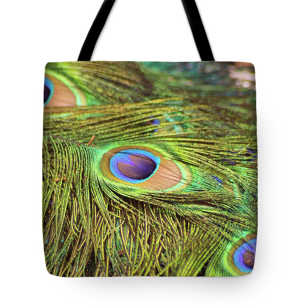 Bird Tote Bag featuring the photograph Peacock Feathers by Kimberly Blom-Roemer