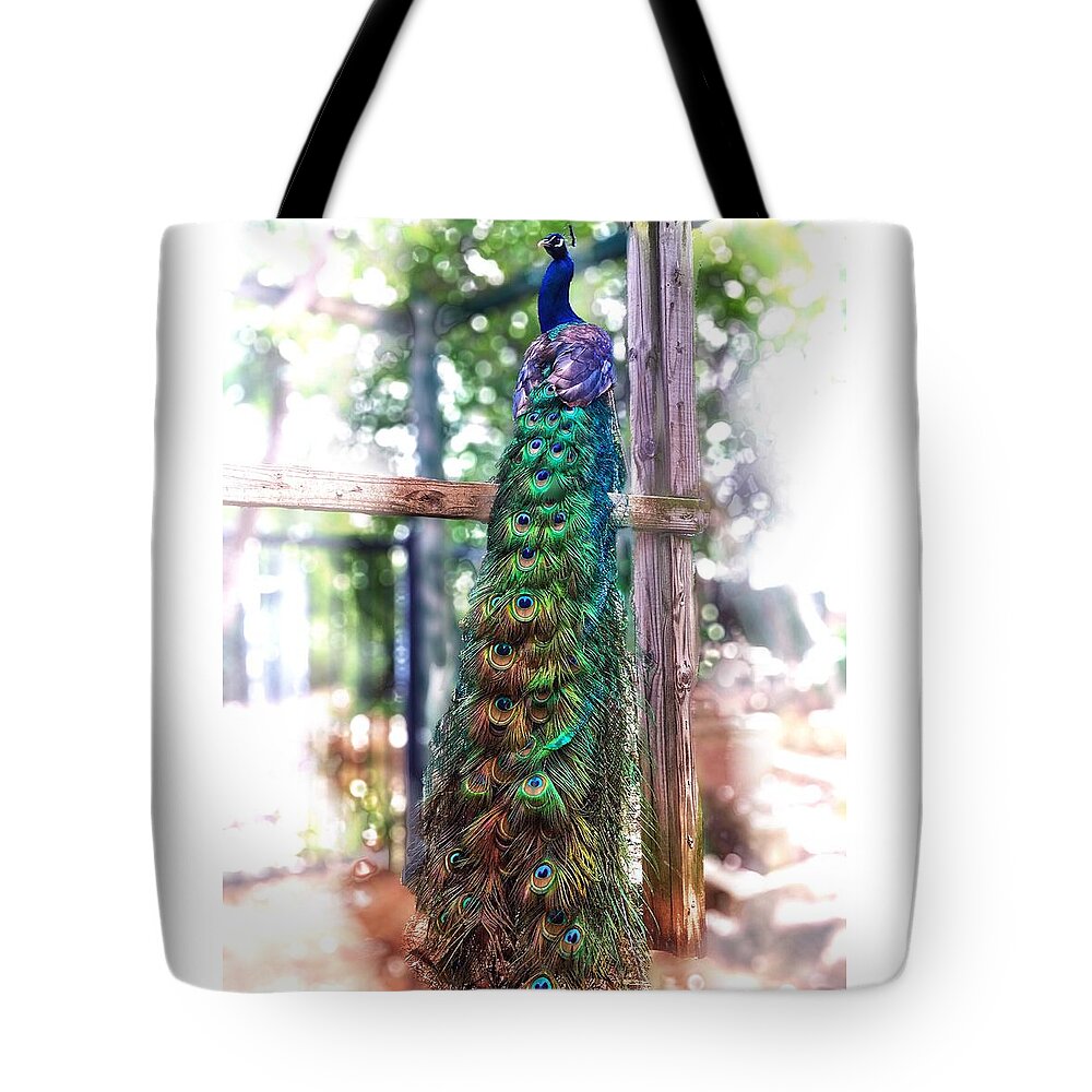 Peacock Tote Bag featuring the photograph Peacock Magic by Doris Aguirre