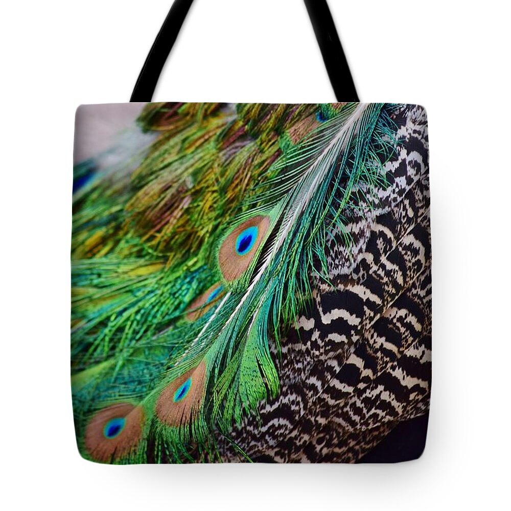Peacock Tote Bag featuring the photograph Peacock by Nicole Lloyd
