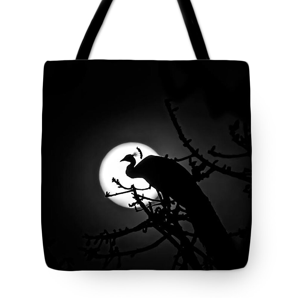 Peacock Tote Bag featuring the photograph Peacock roosting against full moon. by Ramabhadran Thirupattur