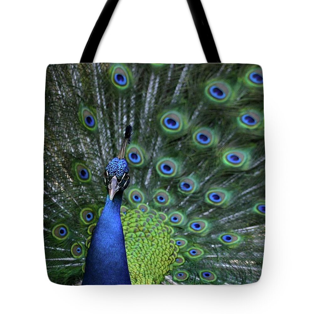 Peacock Tote Bag featuring the photograph Peacock by Sabrina L Ryan