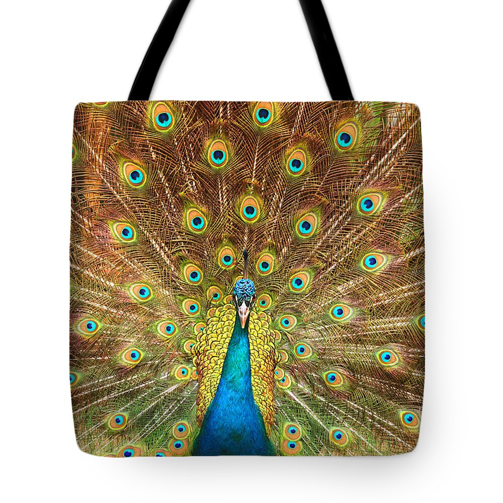 Animal Tote Bag featuring the photograph Peacock showing its feathers XL by Patricia Hofmeester