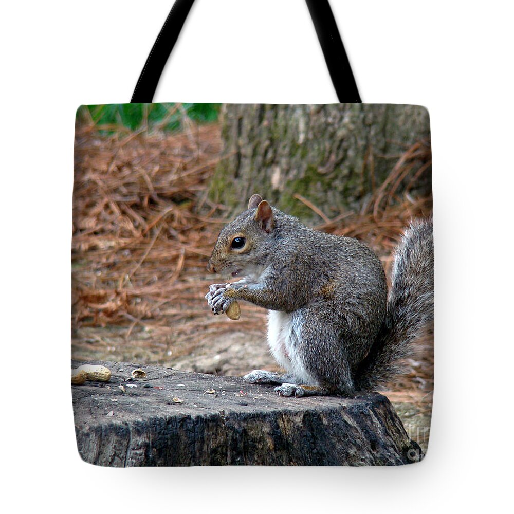 Squirrel Tote Bag featuring the photograph Peanut Feast by Sue Melvin