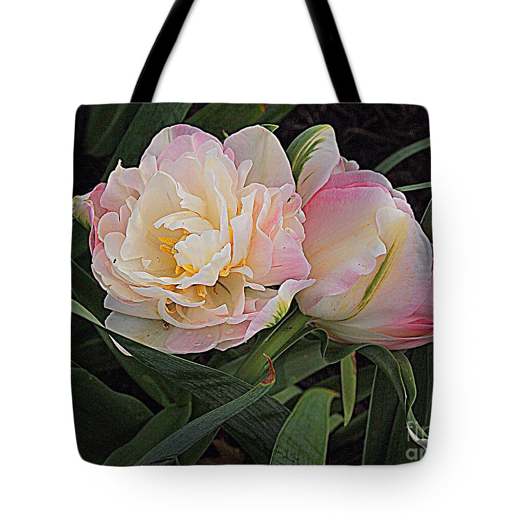Photography Tote Bag featuring the photograph Peony Tulip Duet by Nancy Kane Chapman