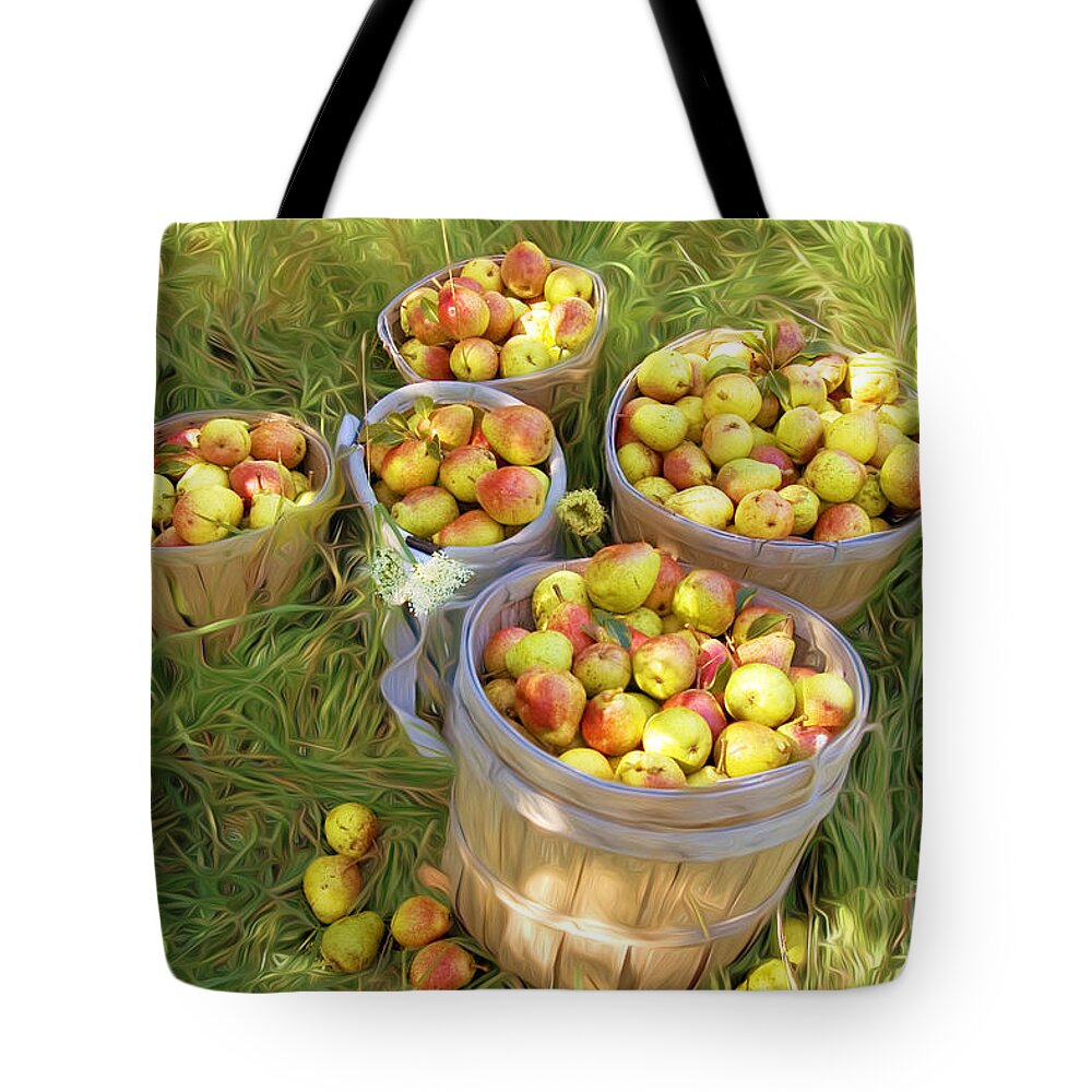 Bartlet Tote Bag featuring the photograph Pear Harvest #1 by George Robinson