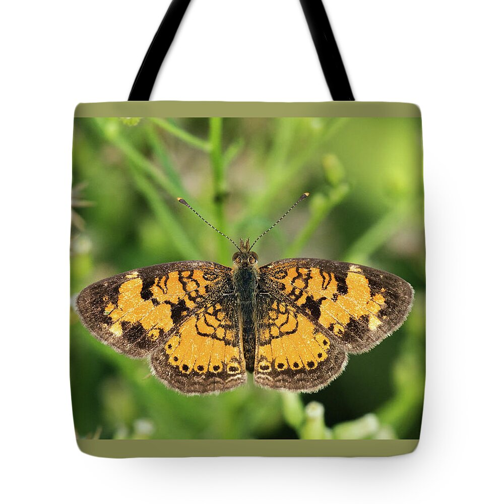 Pearl Crescent Tote Bag featuring the photograph Pearl Crescent by Jim Zablotny