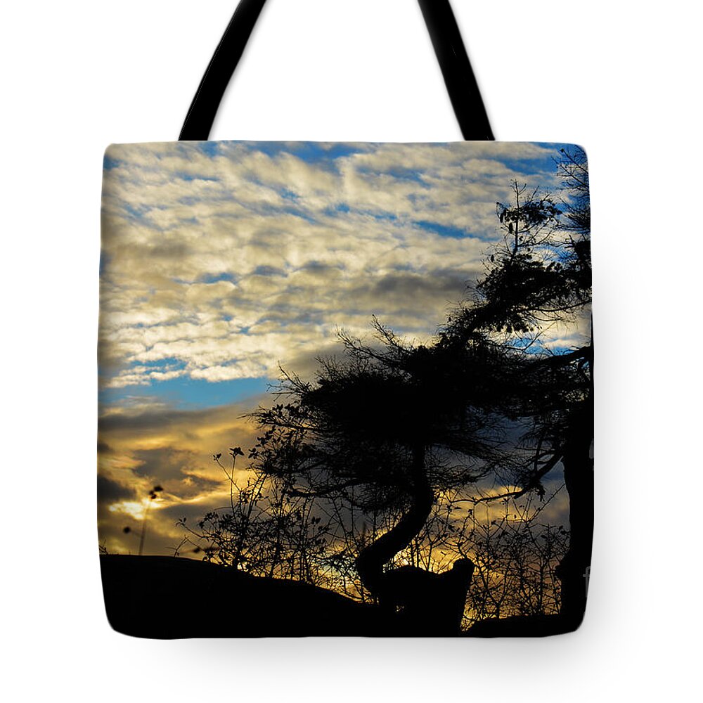 Tree Tote Bag featuring the photograph Pebbles Beach Pine Tree by Elaine Hunter
