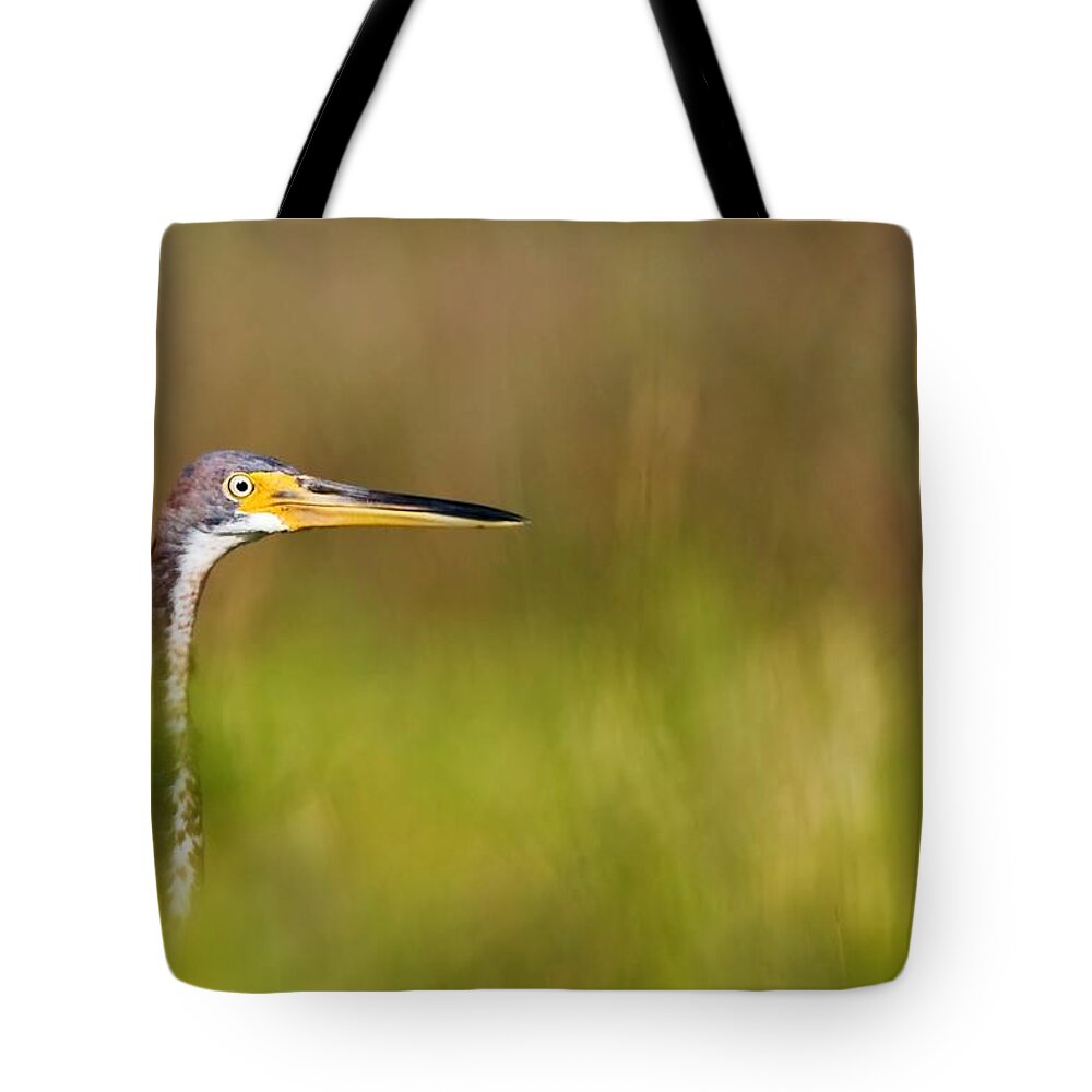 Heron Tote Bag featuring the photograph Peek-a-boo Birdie by Bob Decker