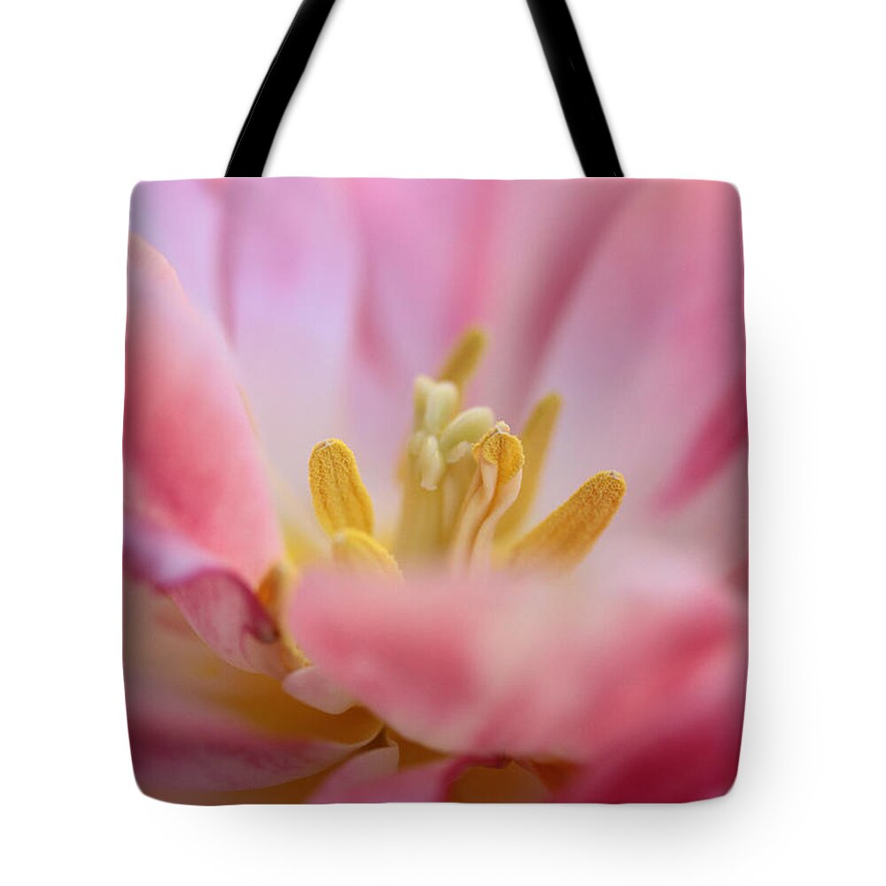Connie Handscomb Tote Bag featuring the photograph Peek- A- Boo Pink by Connie Handscomb