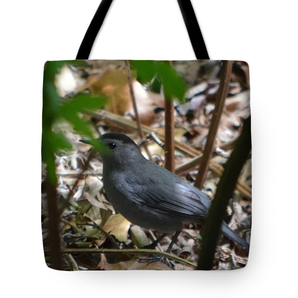 Bird Tote Bag featuring the photograph Peekaboo by Dani McEvoy