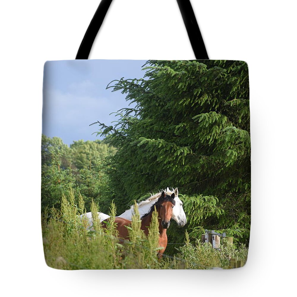 Forest Tote Bag featuring the photograph Peeking Horses by Malibu Bear