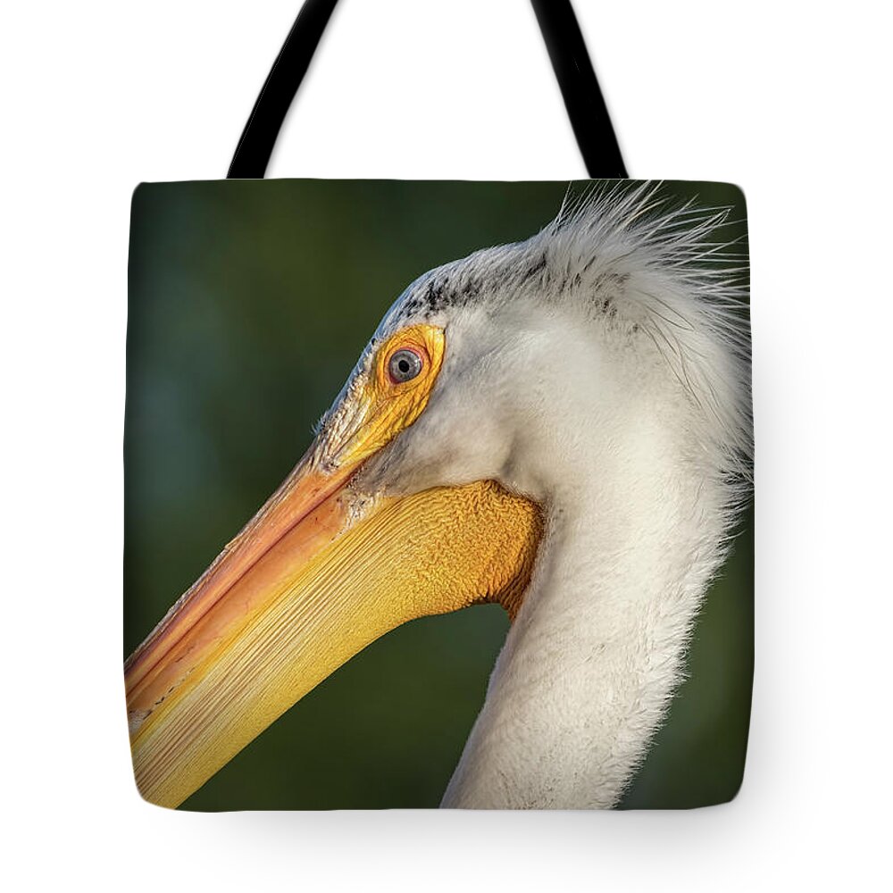 American White Pelican Tote Bag featuring the photograph Pelican 2017-3 by Thomas Young