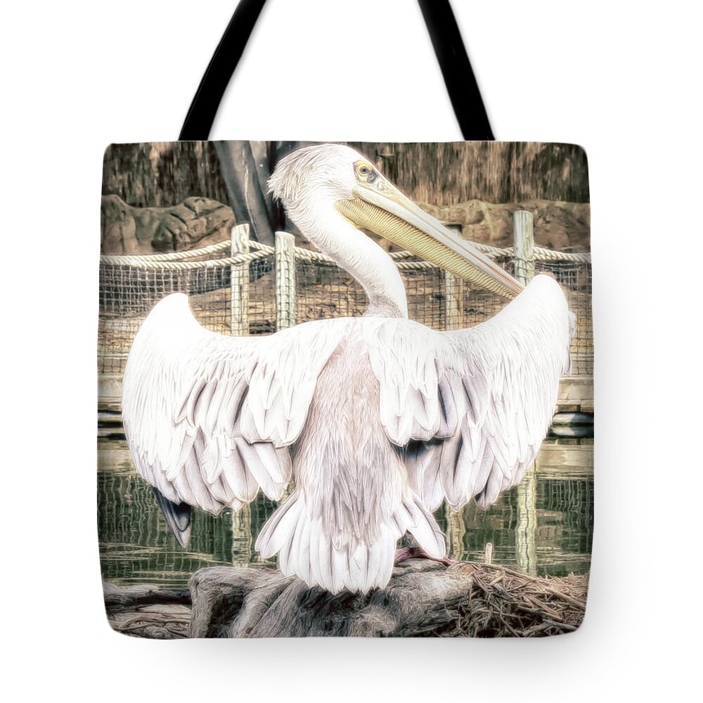 Pelican Tote Bag featuring the photograph Pelican by Alison Frank