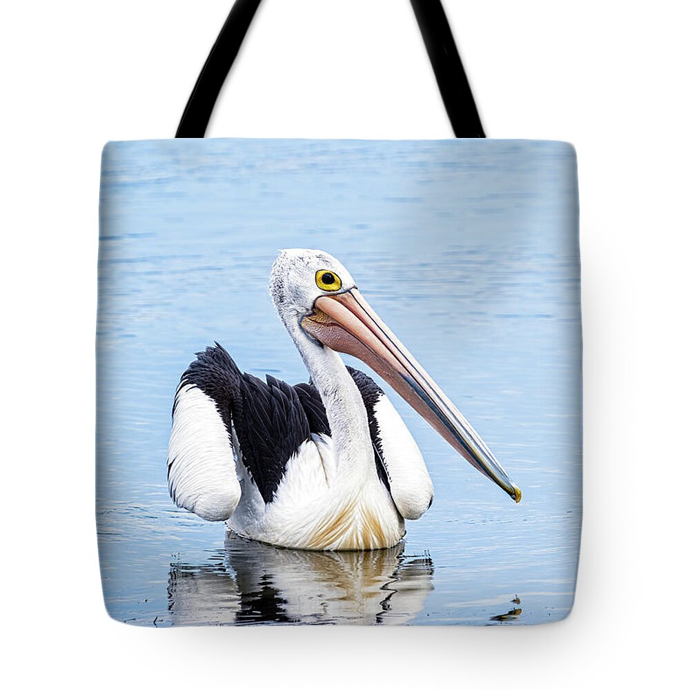 Pelican Tote Bag featuring the photograph Pelican by Catherine Reading