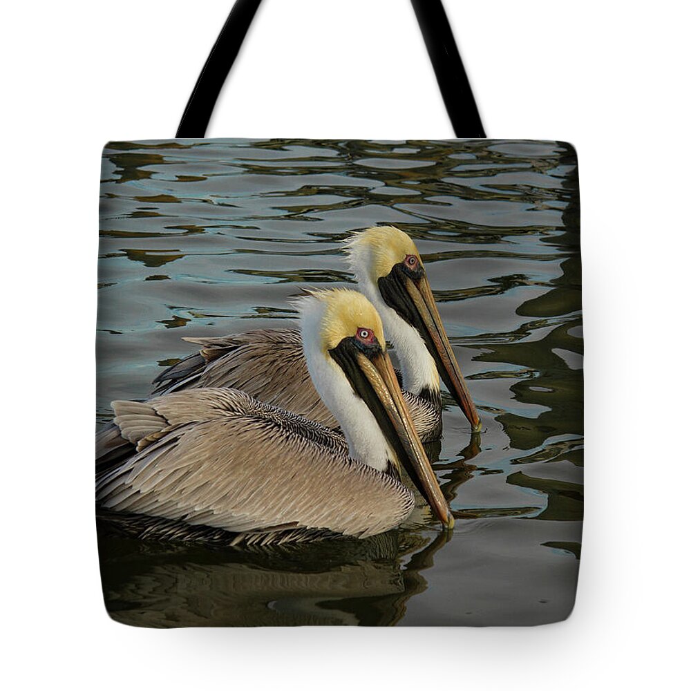 Jean Noren Tote Bag featuring the photograph Pelican Duo by Jean Noren