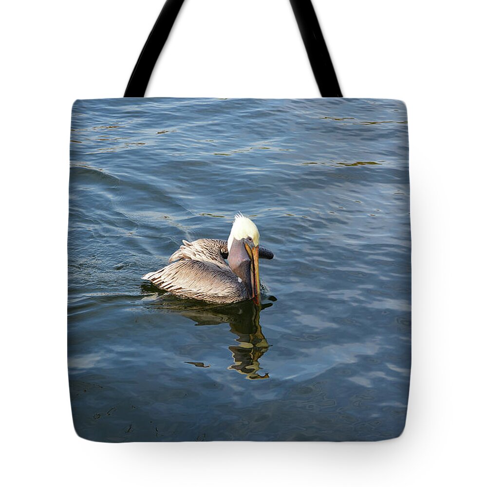 Pelican Tote Bag featuring the photograph Pelican Eating Dinner by Aimee L Maher ALM GALLERY