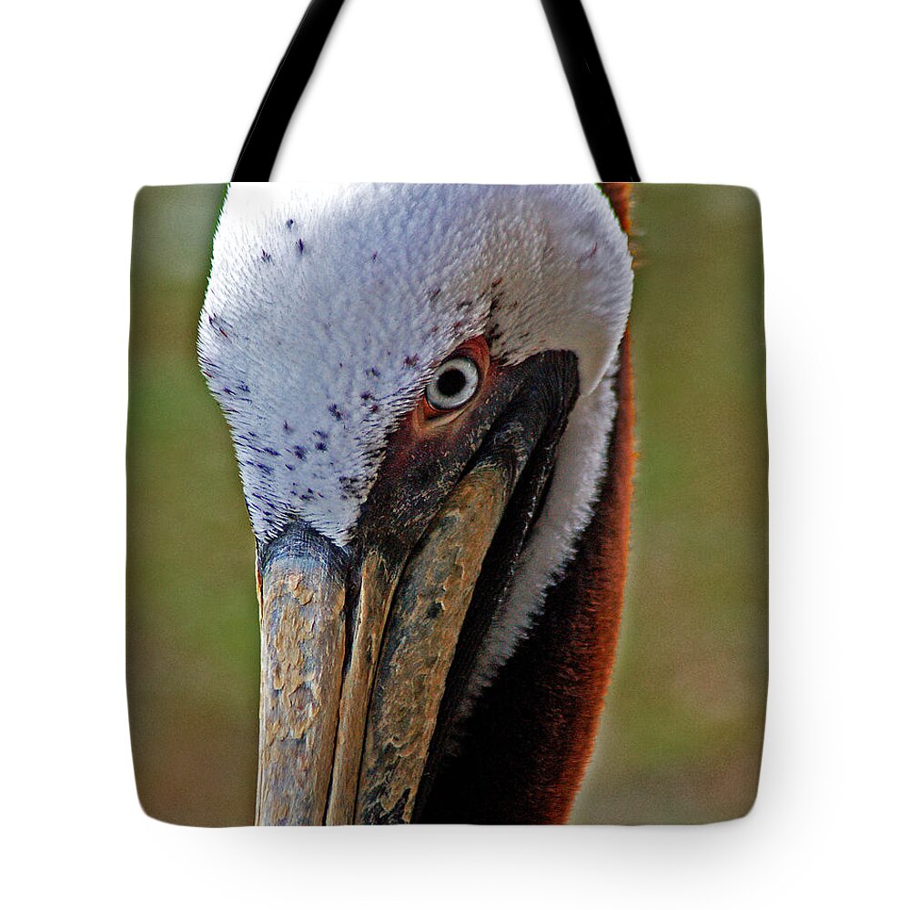 Pelican Tote Bag featuring the painting Pelican Head by Michael Thomas