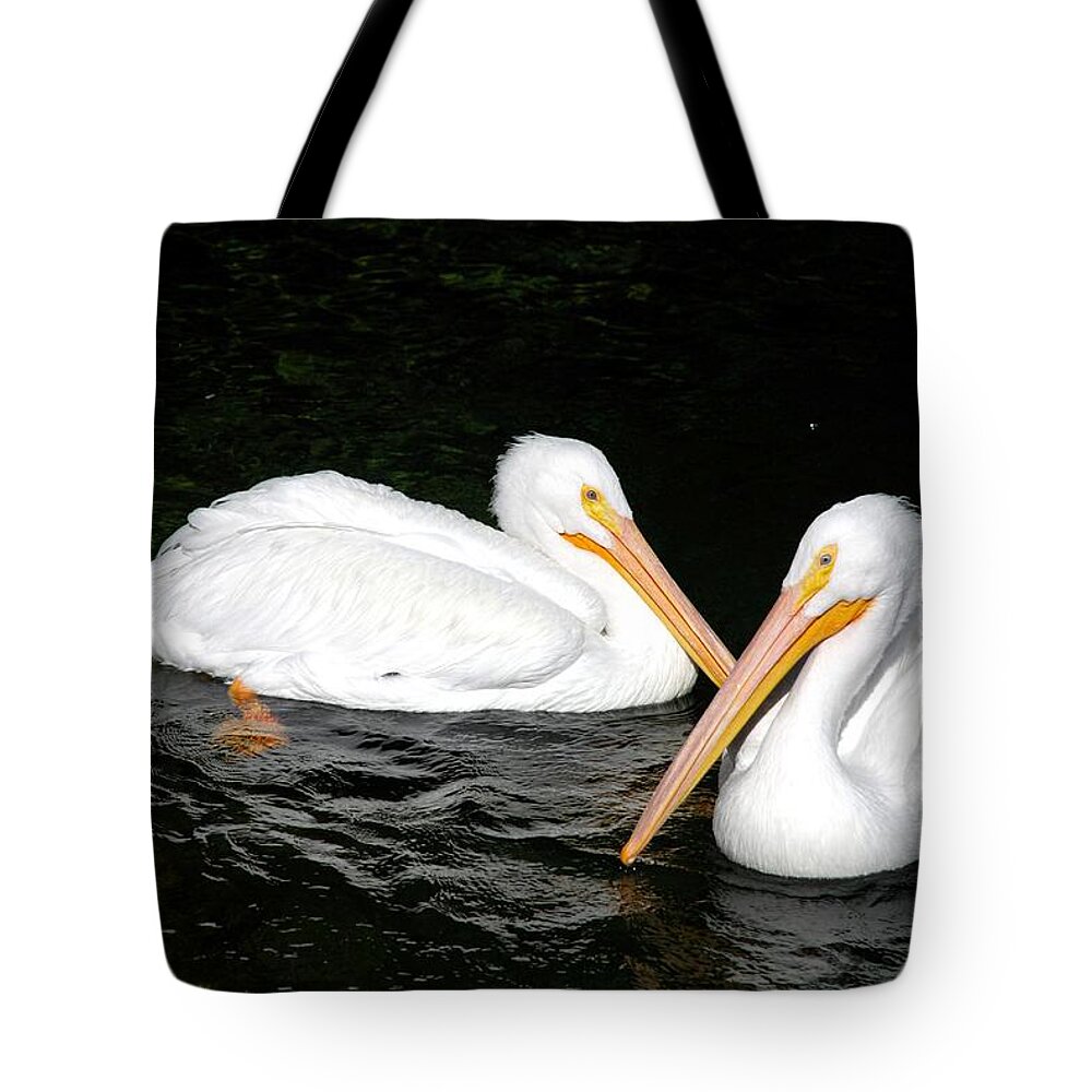 Ft. Worth Tote Bag featuring the photograph Pelican Heart by Kenny Glover
