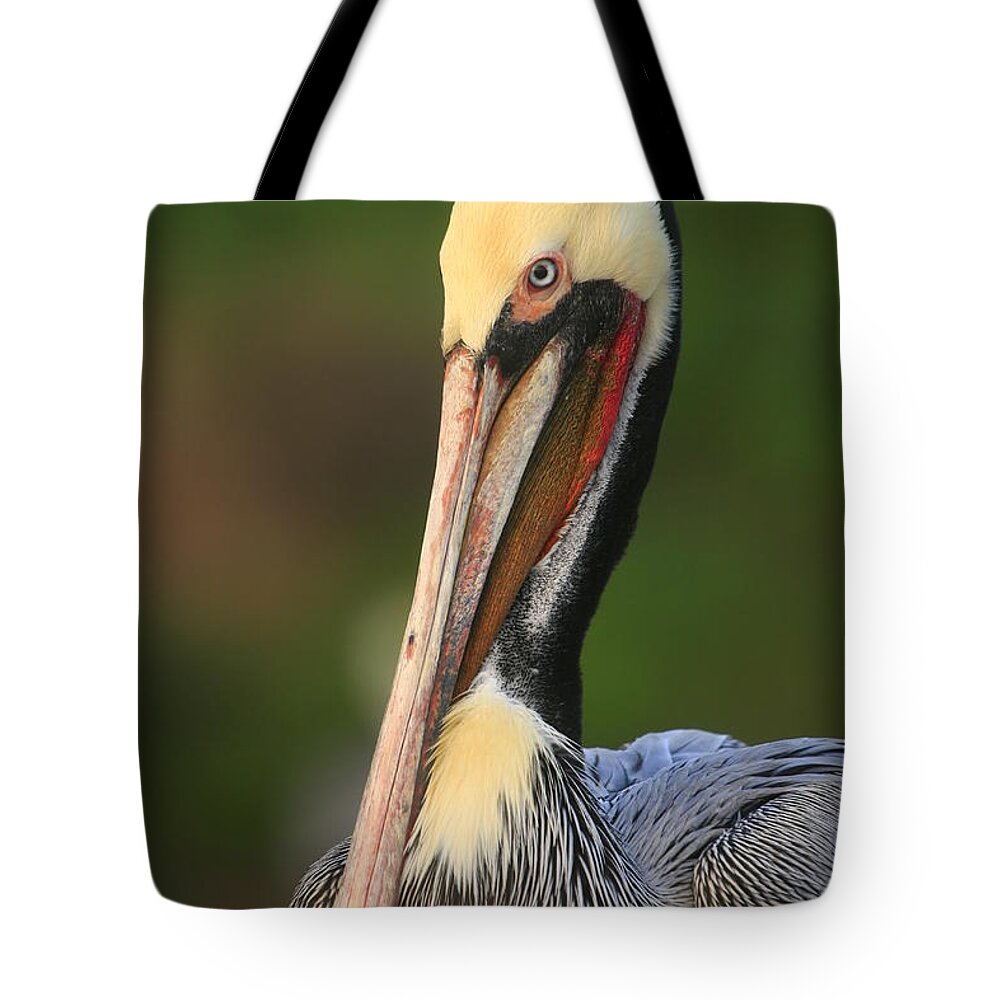 Birds Tote Bag featuring the photograph Pelican In Green by John F Tsumas
