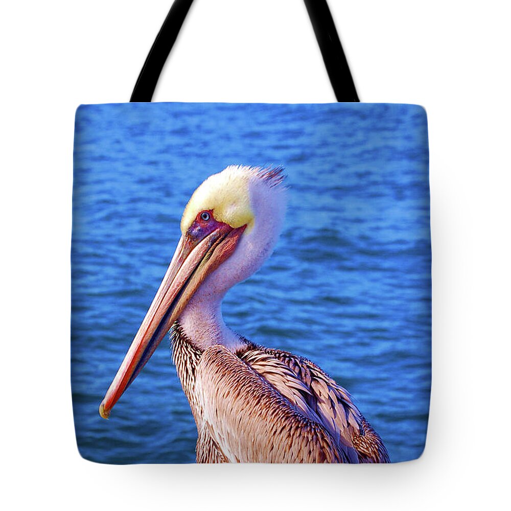 Bird Tote Bag featuring the photograph Pelican in the shore by Maria Aduke Alabi