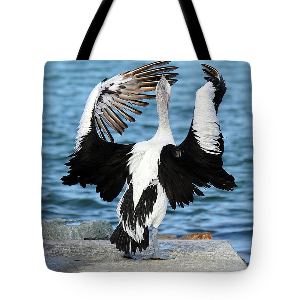 Pelicans Tote Bag featuring the digital art Pelican Orchestra 01 by Kevin Chippindall
